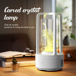 Creative 2-in-1 Audio Acrylic Crystal Lamp | Bluetooth Speaker | Touch Night Light Lamp - YOLO Yard Lighting audio great gift