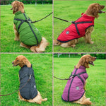 Golden retrievers wearing FurryFashion Sports Jacket Harnesses in green, red, black, and purple colors, perfect for outdoor use.