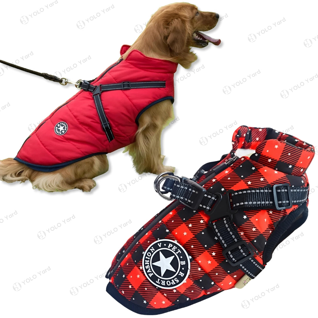 Golden retriever wearing a red FurryFashion Sports Jacket Harness with fleece insulation and reflective harness, ideal for winter walks.