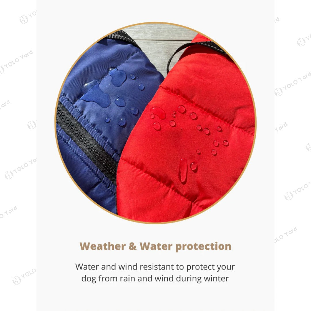 Weather-resistant fabric of the FurryFashion Sports Jacket Harness, showcasing water droplets on red and blue jackets.