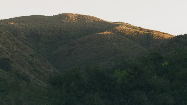 Scenic view of rolling green hills under soft sunlight, unrelated to the product.